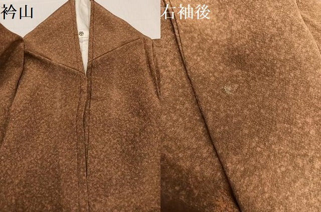 平和屋着物●訪問着　草花文　金彩　正絹　逸品　AABE4875ph