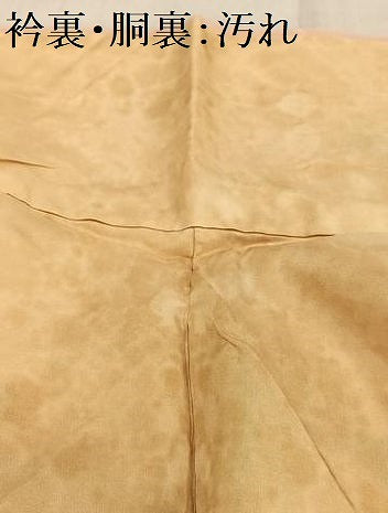 平和屋着物■上質な小紋 逆雲取り文 地紋起こし 正絹 逸品 AABE5015oa