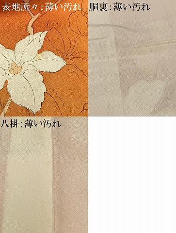 平和屋着物■上質な小紋　枝花文　暈し染め　正絹　逸品　AABE5055oa