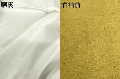 平和屋着物●上質な色無地 作家物 紋意匠 本草木染 山吹茶色 正絹 逸品 AABE5293cs