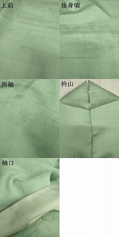 平和屋着物●上質な紬　刺繍　唐辛子　山葵色地　金糸　正絹　逸品　AABE5308cs