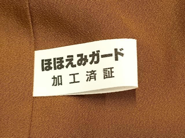 平和屋着物○本塩沢 南天丸文 正絹 逸品 AABE5491fy
