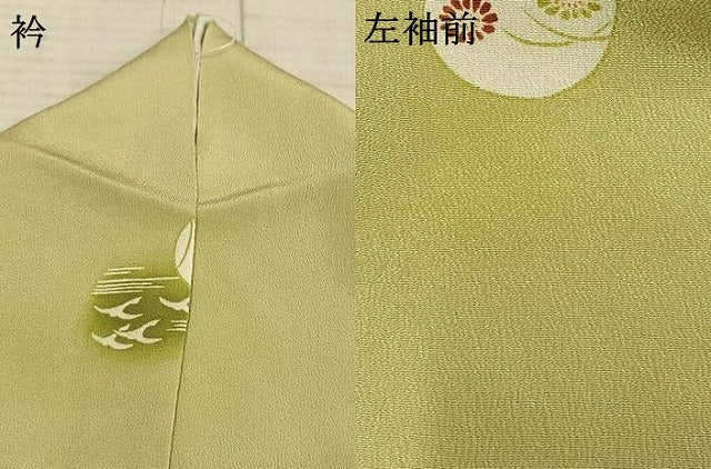 平和屋着物▽上質な小紋　単衣　花鳥丸文　暈し染め　大丸扱い　正絹　逸品　AABE5660fy