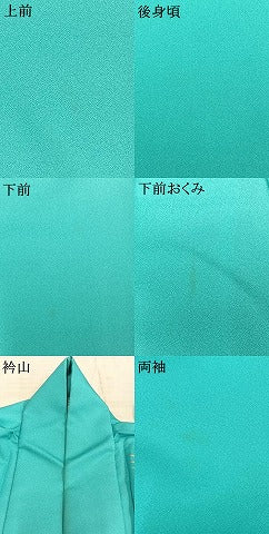 平和屋着物▽訪問着　単衣　飛鳥文　金銀彩　洗える着物　AABE5755fy