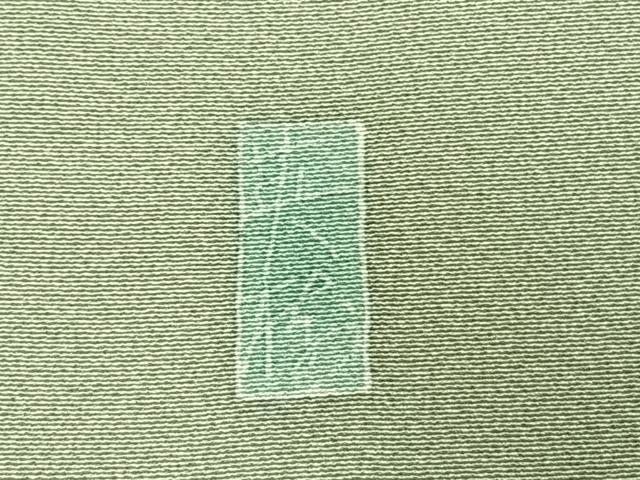 平和屋着物●本加賀友禅作家　寺西英樹　訪問着　草花文　正絹　逸品　AABE5787fy