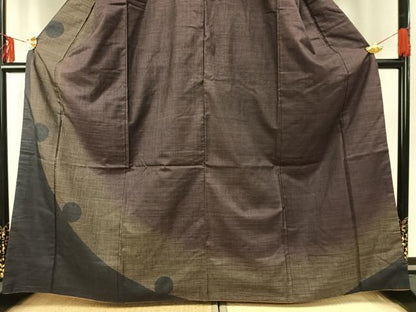 平和屋着物●本場大島紬　訪問着　カタス7マルキ　雪輪文　正絹　逸品　AABE5791fy