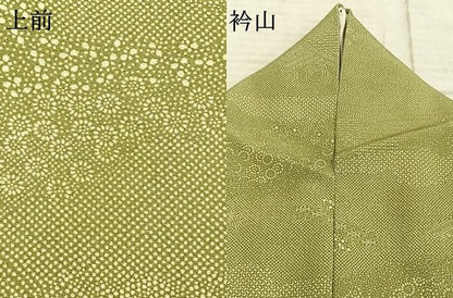 平和屋着物●江戸小紋　寄せ小紋柄　正絹　逸品　AABE5814fy