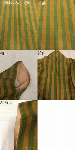 平和屋着物●上質な紬　間道　正絹　逸品　AABE5863ph