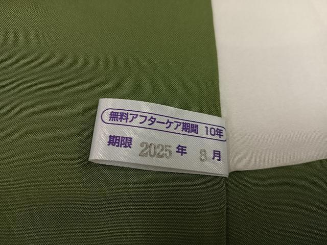 平和屋着物●上質な紬　色無地　青朽葉色　ロング丈　正絹　逸品　AABE5894ph