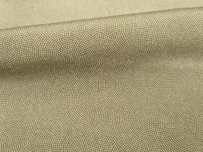 平和屋着物●江戸小紋　極小鮫小紋柄　正絹　逸品　AABE5949ck