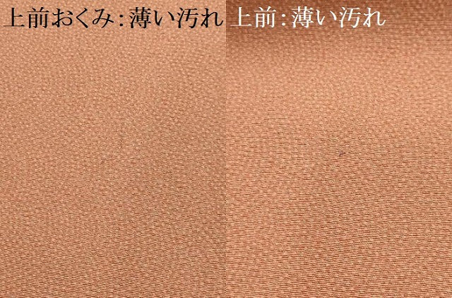 平和屋着物■江戸小紋　鮫小紋柄　正絹　逸品　AABE6065sx