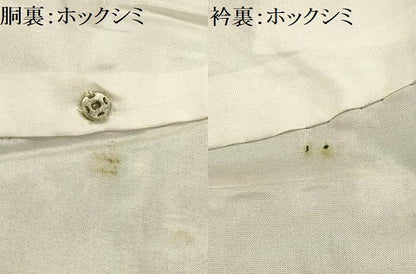 平和屋着物■上質な紬　花菱文　正絹　逸品　AABE6077sx