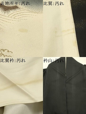 平和屋着物■豪華黒留袖　花鳥風景文　寿光織　暈し染め　正絹　逸品　AABE6447sx