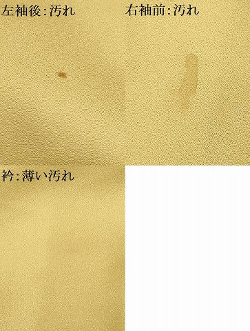 平和屋着物■訪問着 流水草花文 暈し染め 金彩 正絹 逸品 AABE6596sx