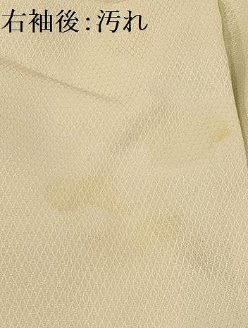 平和屋着物■上質な小紋　草花文　暈し染め　金彩　正絹　逸品　AABE6639sx
