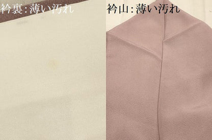 平和屋着物■訪問着　流水飛鳥枝葉文　暈し染め　金彩　正絹　逸品　AABE6653sx