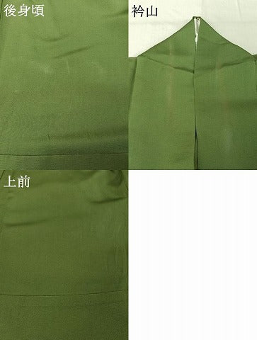 平和屋着物▽豪華色留袖 単衣 菊 正絹 逸品 AABE6704jh
