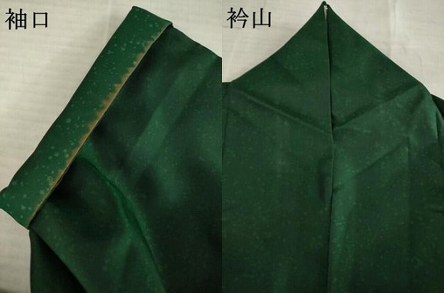 平和屋着物●本場大島紬 染大島 霞文 正絹 逸品 AABE6786ck