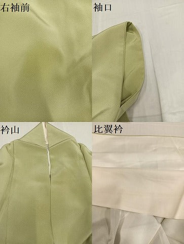 平和屋着物○豪華色留袖 友禅 作家物 群れ鶴草花文 暈し