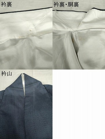 平和屋着物●本塩沢　110亀甲　斜縞　正絹　逸品　AABE7022cs