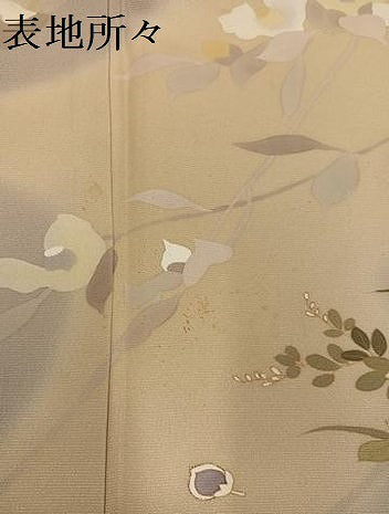 平和屋着物●訪問着　枝花文　暈し染め　金彩　正絹　逸品　AABE7343ph