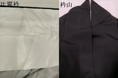 平和屋着物●豪華黒留袖 友禅 作家物 群れ鶴草木文 正絹 逸品 AABE7396ph