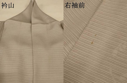 平和屋着物＊夏物 訪問着 絽 草花丸文 暈し染め 金彩 正絹 逸品 AABE7409jd