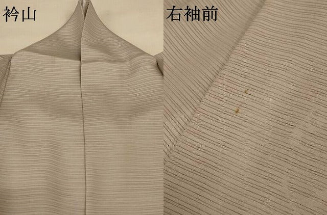 平和屋着物＊夏物 訪問着 絽 草花丸文 暈し染め 金彩 正絹 逸品 AABE7409jd