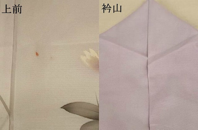 平和屋着物＊夏物 訪問着 絽 草花文 暈し染め 洗える着物 AABE7419jd