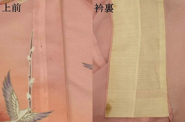 平和屋着物＊夏物 訪問着 絽 花鳥文 暈し染め 銀彩 洗える着物 AABE7436jd