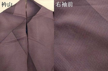 平和屋着物＊夏物 前田仁仙 仁仙更紗 訪問着 絽縮緬 雪輪花鳥文 暈し染め さが美扱い 正絹 逸品 AABE7447jd