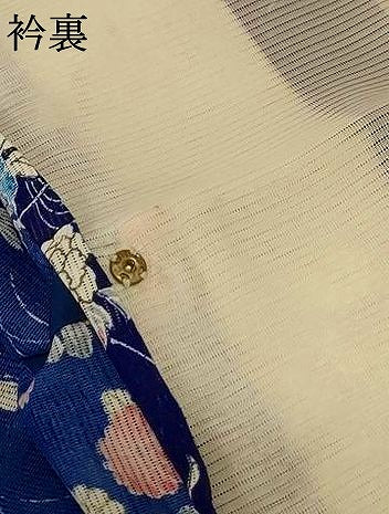 平和屋着物＊夏物 小紋 絽 風景草花文 洗える着物 AABE7458jd