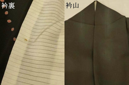 平和屋着物＊夏物 訪問着 絽 丸文 銀彩 正絹 逸品 AABE7463jd