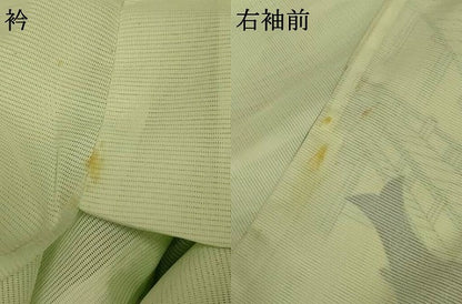 平和屋着物＊夏物 訪問着 絽 鯉 洗える着物 AABE7481jd