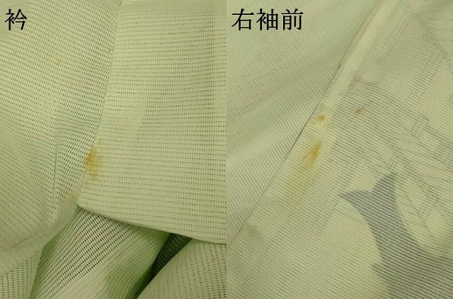 平和屋着物＊夏物 訪問着 絽 鯉 洗える着物 AABE7481jd