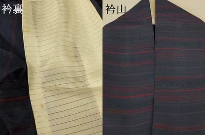 平和屋着物＊夏物 小紋 紗 横段文 正絹 逸品 AABE7493jd