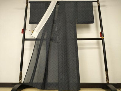 平和屋着物＊夏物　本場大島紬　夏大島　檜垣文　正絹　逸品　AABE7497jd