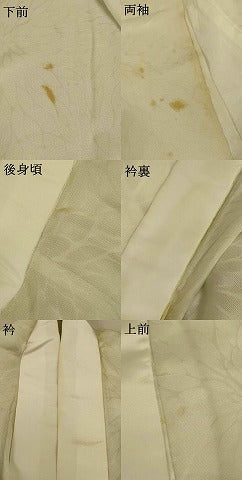 平和屋着物＊夏物 長襦袢 菊紋紗 白磁色 正絹 逸品 AABE7501jd