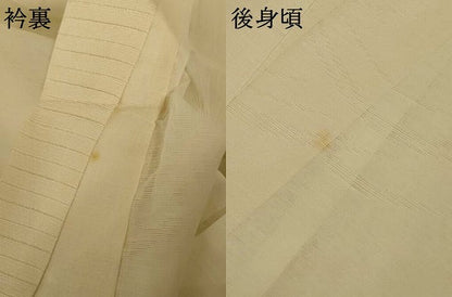 平和屋着物＊夏物　長襦袢　芝花紋紗　AABE7504jd