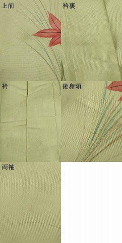 平和屋着物＊夏物 訪問着 絽 楓文 正絹 逸品 AABE7505jd
