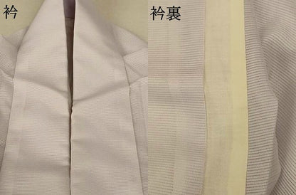 平和屋着物＊夏物 訪問着 絽 舞蝶文 洗える着物 AABE7509jd