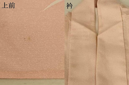 平和屋着物＊夏物 訪問着 絽 草花文 暈し染め 銀彩 洗える着物 AABE7514jd