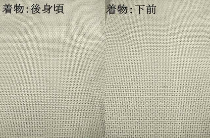平和屋着物●男性　本場大島紬　アンサンブル　100亀甲　総詰め　正絹　逸品　AABE7729ck