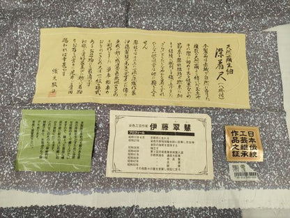 平和屋着物●染色作家　伊藤翠慧　天然繭生紬　たたき染め　反端付き　ロング丈　正絹　逸品　AABE7774ck