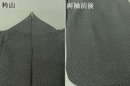 平和屋着物▽江戸小紋 単衣 舞花文 正絹 逸品 AABE8041jh