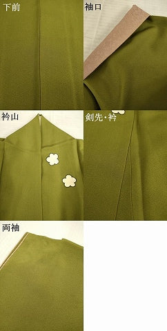 平和屋着物●染色の魔術師　染乃座・大久保玄才　そめのざ玄才　訪問着　笹　梅　正絹　逸品　AABE8225ck 平和屋着物○染色の魔術師 染乃座・大久保玄才 そめの