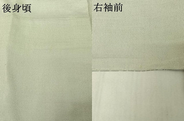 平和屋着物▽本塩沢 訪問着 単衣 やまだ織 藤倉守正 雪の中のきれ 証紙付き 正絹 逸品 AABE8341jh