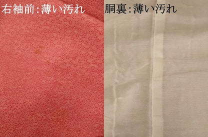 平和屋着物■江戸小紋　寄せ小紋柄　正絹　逸品　AABE8482st