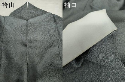 平和屋着物●訪問着　江戸小紋　鮫小紋柄　流水草花文　正絹　逸品　AABE8542cs