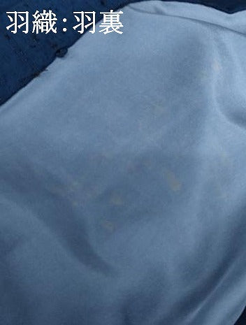 平和屋着物○男性 紬 アンサンブル 色無地 青藍色 羽裏：虎 正絹